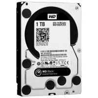 Festplatte: Western Digital Black Devices Festplatte: Western Digital Black Devices