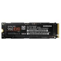Festplatte: Samsung 960 Evo Devices Festplatte: Samsung 960 Evo Devices