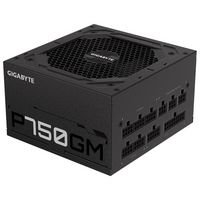 Netzteil: GIGABYTE P750GM Devices Netzteil: GIGABYTE P750GM Devices